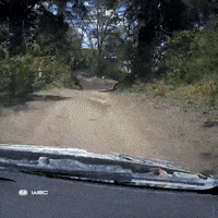 Driving Toyota Yaris GIF by FIA World Rally Championship