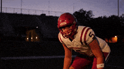 Sjfcfootball GIF by Fisher Athletics