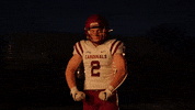 Sjfcfootball GIF by Fisher Athletics
