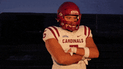 Sjfcfootball GIF by Fisher Athletics