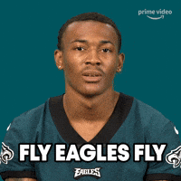 Fly Eagles Fly