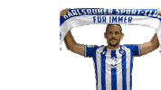2 Bundesliga Football Sticker by Karlsruher SC