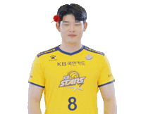 Kb스타즈 Sticker by KB STARS VOLLEYBALL CLUB