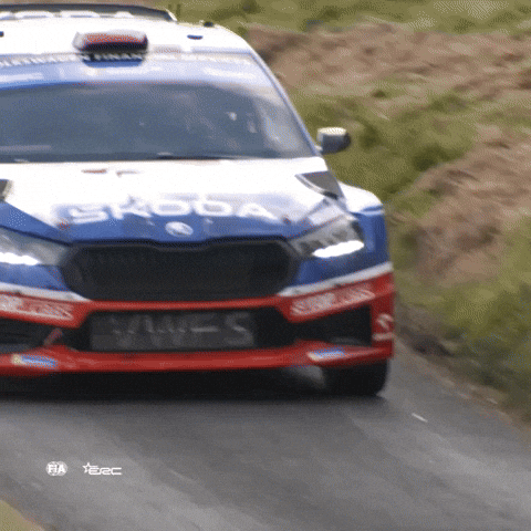 Erc GIF by FIA European Rally Championship