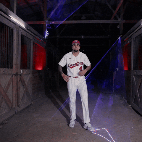 Home Run Celebration GIF by Gamecock Athletics