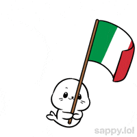 Lets Go Football GIF by Sappy Seals