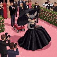 Red Carpet Fashion GIF