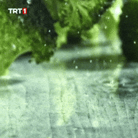 Chef Eat GIF by TRT
