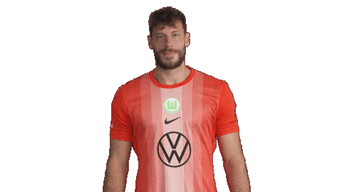 Happy Germany Sticker by VfL Wolfsburg