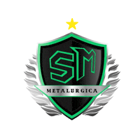 Sticker by Liga Metropolitana de Futsal