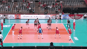 Power Dominican GIF by Volleyball World