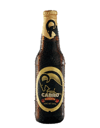 Guatemala Oktoberfest Sticker by Cerveza Gallo