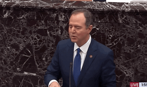 Adam Schiff GIF