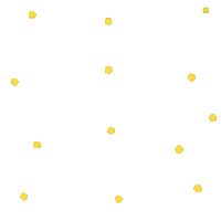 Confetti Bonn Sticker by zartmintdesign