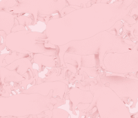 sashakatz sasha katz GIF