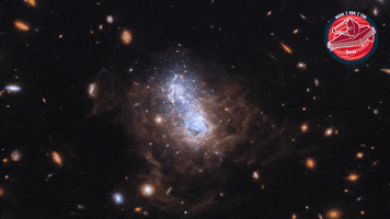 James Webb Nasa GIF by ESA Webb Space Telescope