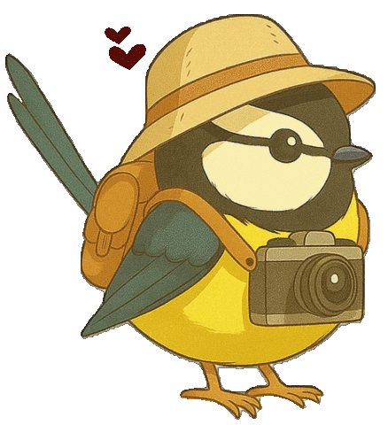 Bird Vogel Sticker by mahoniemoni