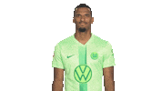 Germany Love Sticker by VfL Wolfsburg