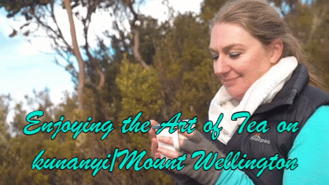 TheTeaLady giphygifmaker winter tea tasmania GIF