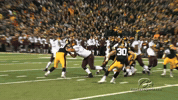 football GIF by University of Iowa Hawkeyes Athletics