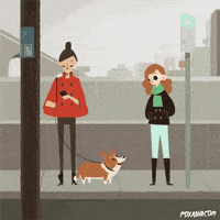 Animation Domination Lol GIF by gifnews