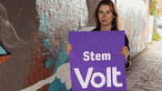 Verkiezingen Stemvolt GIF by VoltNL