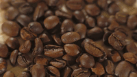 Berk's Beans Gourmet Coffee