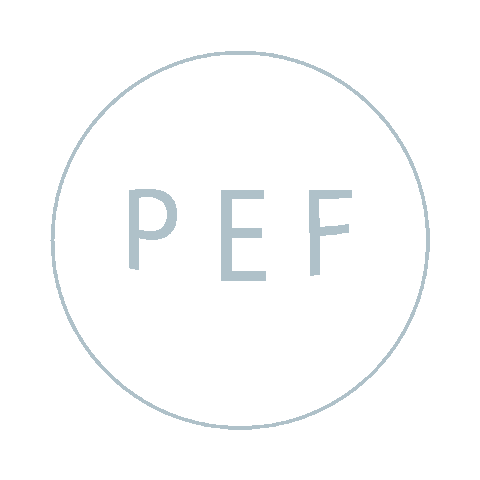 NYSPUBLICEMPLOYEESFEDERATION giphyupload union union strong pef Sticker