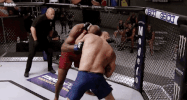 ultimate fighter fighting GIF by UFC
