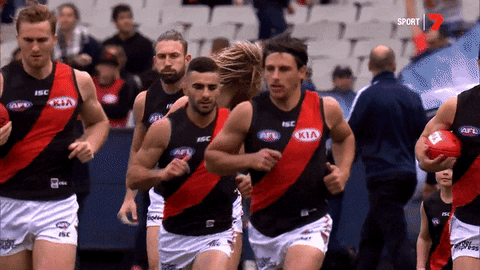 afl GIF by Essendon FC