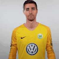 World Cup Football GIF by VfL Wolfsburg
