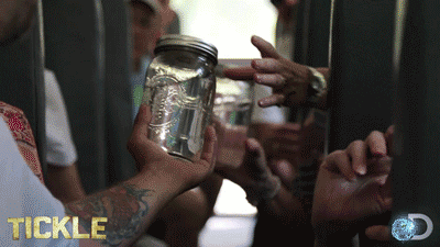 tv series lol GIF