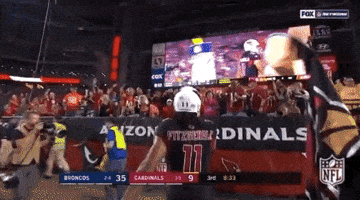 2018 Nfl Football GIF by NFL