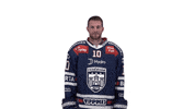 Celebration Goal GIF by Fehervar AV19
