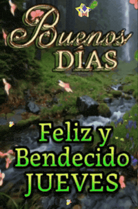 Feliz Amigos GIF by Murcianys LLC
