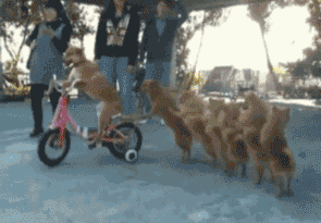friends GIF