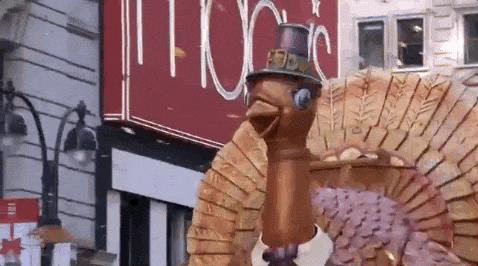 Macys Parade GIF by The 96th Macy’s Thanksgiving Day Parade