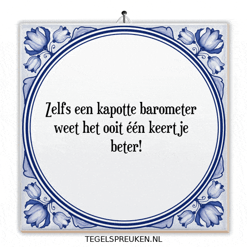 Wijsheid Reflectie GIF by Tegelspreuken.nl