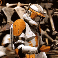 Execute Star Wars GIF