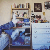 GIF by KPISS.FM