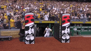 Pittsburgh Pirates Sport GIF by MLB