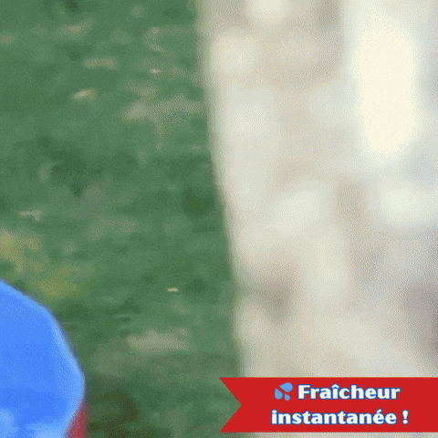 Tapis piscine pour chien rafraîchissant