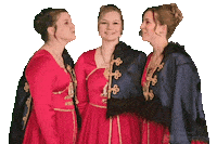 Alaaf Sticker by Blau-Rote Funken