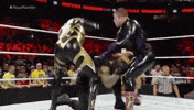 Royal Rumble Wrestling GIF by WWE