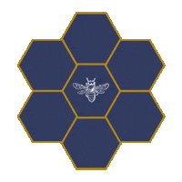 Ewd Jimson Sticker by everettewilsondesigns