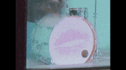 Drums Drumming GIF by lovelytheband