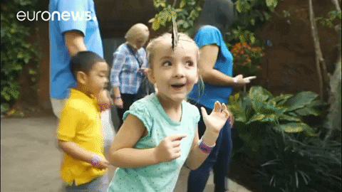 Surprised Butterfly GIF by euronews
