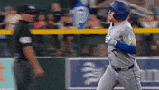 Blue Jays Baseball GIF by Toronto Blue Jays