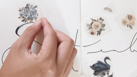 scriptandsea giphyupload GIF