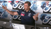 2018 season football GIF by AFL